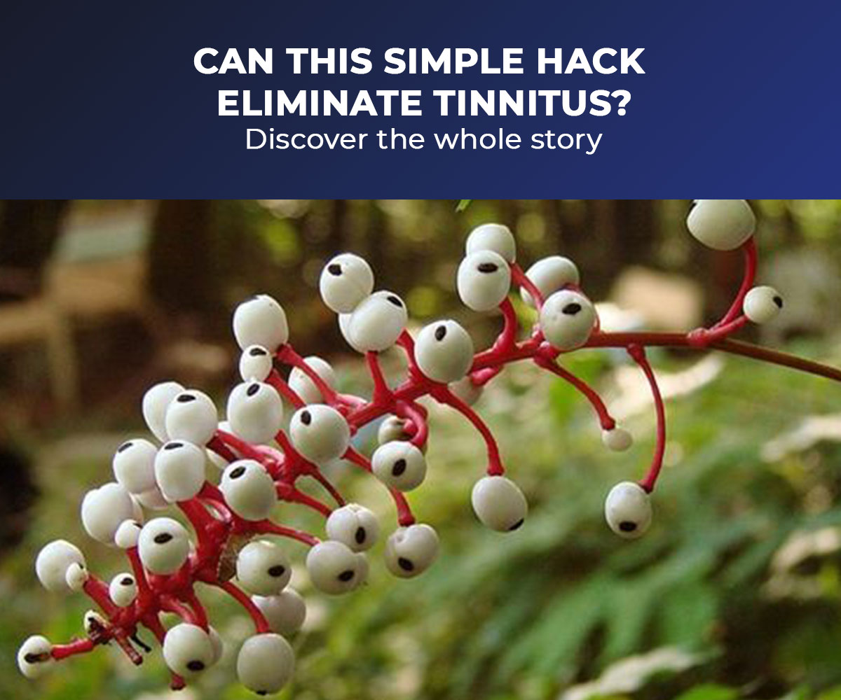 af-Banner-1 The Hidden Cost of Constant Noise: Is Your Hearing At Risk?