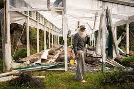 temp_image_1762853132.380913 New Zealand: Unveiling the Magic of Aotearoa's Wonders