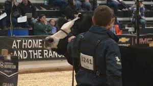 temp_image_1764437500.99919 Agribition Regina: The Ultimate Guide to Canada's Premier Agricultural Show