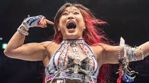 temp_image_1764463217.555689 Iyo Sky's WarGames Genius: Unleashing 'Mr. Trashcan' at Survivor Series