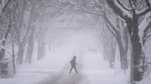 temp_image_1764556059.877484 Navigating the Nova Scotia Snow Storm: Your Essential Guide to Safety and Preparedness