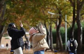 temp_image_1764917926.589871 Tomorrow's Weather in Korea: Enjoy a Mild Weekend Before the Big Chill Arrives!