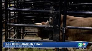 temp_image_1769926184.687324 PBR: Witness the Thrill of Professional Bull Riding in Sacramento!