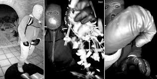 temp_image_1770784545.693676 Rio Rico: Latest News and Updates from Santa Cruz County, Arizona