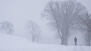 temp_image_1770822208.281987 Nova Scotia School Cancellations: Storm Updates & Safety Concerns