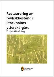 Stockholm Archipelago Pike Restoration: A Vital Ecosystem at Risk