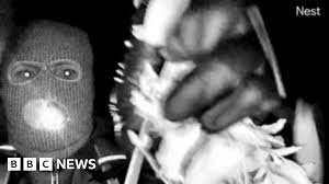 temp_image_1771042812.934706 News Nation: FBI Releases Suspect Description in Nancy Guthrie Kidnapping Case