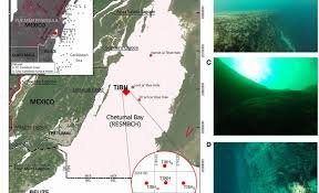 temp_image_1771072062.99655 Blue Hole: Unveiling the Mysteries of Taam Ja' in Chetumal Bay