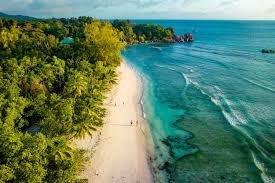 temp_image_1771078566.1202 Seychelles Chikungunya Virus Outbreak: Symptoms, Prevention & Travel Advisory