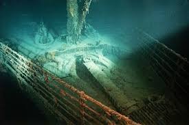 temp_image_1771132837.958547 Titanic: A Surprising Ecosystem Thriving on the Wreck