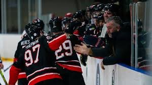 temp_image_1771167029.127658 Rotterdam Open: A Guide to the Premier Tennis Tournament