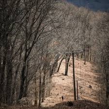 temp_image_1771213057.348838 Barkley Marathons