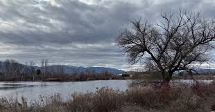 temp_image_1771286567.077145 Kelowna Weather: Your Complete Guide to Okanagan Valley's Climate