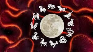 temp_image_1771330183.588234 Chinese New Year Animals: Discover Your Zodiac Sign & Traits