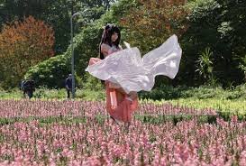 temp_image_1771396801.249137 Tomorrow's Weather in Taiwan: A Shift from Cold to Mild