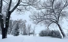 temp_image_1771504227.844643 Sootoday: Understanding Cloudflare Blocks and Website Security