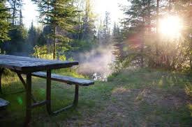 temp_image_1771504560.415375 Ontario Parks: Frustrations Rise as Demand Soars and Reservations Prove Elusive