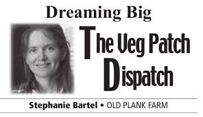 temp_image_1771539868.23112 Kristi Yamaguchi: A Childhood Hero and the Enduring Magic of Winter Dreams