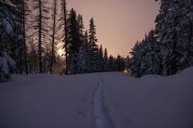 temp_image_1771573599.680626 Tahoe Avalanche: Safety, Prevention, and What to Do If Caught