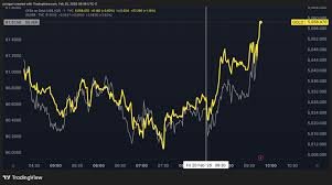 temp_image_1771607033.996342 Spy Stock: Unveiling the Secrets of Shadow Trading and Market Manipulation