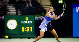 temp_image_1771616578.150831 Svitolina