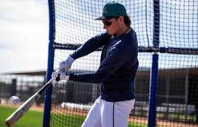 temp_image_1771623055.230396 Seattle Mariners: A Deep Dive into the 2024 Season and Beyond