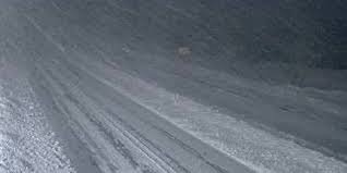 temp_image_1771763530.057776 VOCM: Your Voice, Our Community - Newfoundland & Labrador's Leading News Source