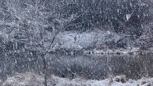 temp_image_1771853954.212929 Washington D.C. Weather: Winter Storm Brings Snow, Travel Disruptions