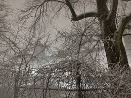 temp_image_1771877021.604936 Blizzard of '78: A Historic Storm and Its Lasting Impact