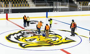 temp_image_1771930782.580566 Dalhousie University's New Ice Rink: A Blend of Tradition and Precision
