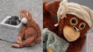 temp_image_1772014608.614384 Punch the Monkey and the Sold-Out Ikea Toy: A Viral Story