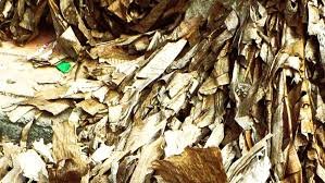 temp_image_1772199766.61464 Dominican Independence Day: History, Meaning, and Celebration