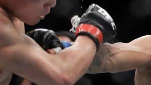 temp_image_1772327033.650977 Angel Pacheco: The Rising Star in Boxing You Need to Know