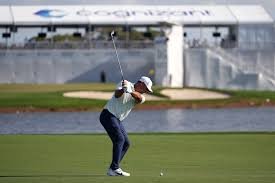 temp_image_1772401545.513046 Cognizant: A Deep Dive into the Global Technology & Consulting Leader