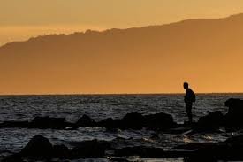 temp_image_1772474648.219343 What Are Forever Chemicals For Men?