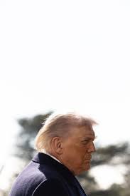 temp_image_1772622821.450694 Navigating the Digital Landscape: A Deep Dive into NYTimes.com