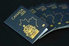 temp_image_1772643446.637057 Passport Costs in Canada: What You Need to Know About the Upcoming Price Increase