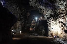 temp_image_1772951883.748853 Little Foot Digital Reconstruction: Unveiling the Face of Our Ancient Ancestor