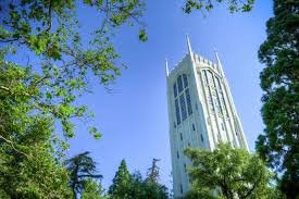 temp_image_1773103211.372481 Rooster Cast: The Rise of a Unique Audio Experience