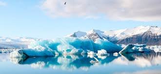 temp_image_1773311142.414 Concordia University Researcher Awarded Prestigious Killam Fellowship for Environmental Emergency Response