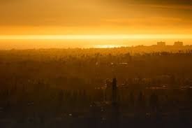 temp_image_1773506554.23402 San Diego Weather: Your Ultimate Guide to Sunshine and Coastal Breezes