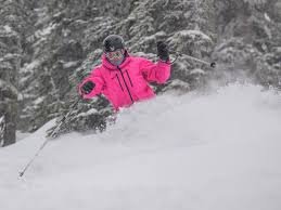 temp_image_1773670724.765062 Big White: The Majestic Beauty and Conservation of Beluga Whales