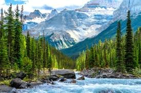 temp_image_1773679137.072773 Express Entry Draw: Latest Updates & CRS Scores (2024)