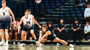 temp_image_1773784620.372918 UC Santa Barbara: A Guide to Academics, Campus Life, and Admissions