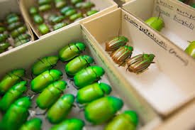 temp_image_1774262441.196525 University of Arizona Ranked Among World's Best: A Deep Dive into Academic Excellence