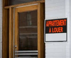 temp_image_1774435353.262247 Animal Restrictions in Rental Housing: Quebec Minister Upholds Landlord Rights