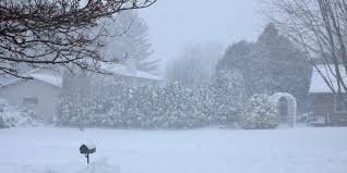 temp_image_1774455689.399527 Blizzard Aftermath: Sturgeon Bay Issues Snow Removal Warnings and Potential Fines