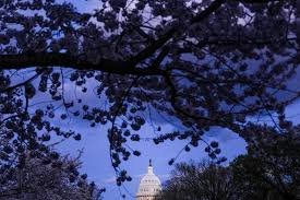 temp_image_1774522963.240953 DHS Shutdown: Impasse Continues as Negotiations Falter