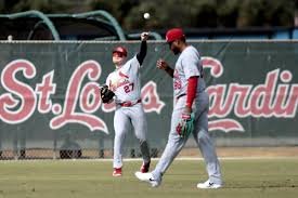 temp_image_1774563945.548693 Nathan Church: The Cardinals' Rising Star