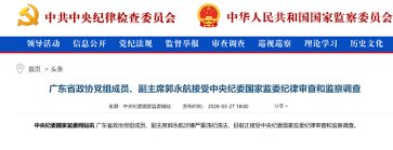 temp_image_1774611257.717044 Guo Yonghang: From Football Club Owner to Alleged Criminal – A Deep Dive